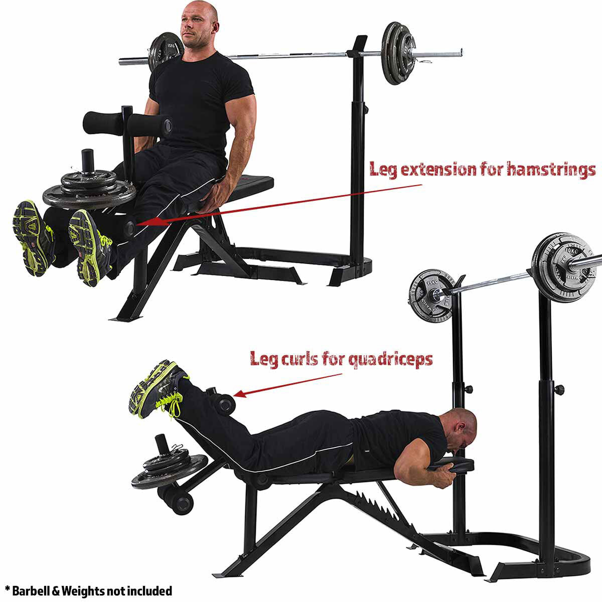 BE3000 Eclipse Weight Bench & Squat Rack