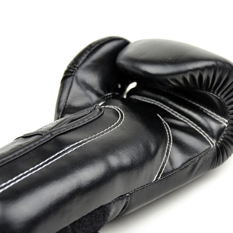 Fairtex Boxing Gloves / BGV14 / Black